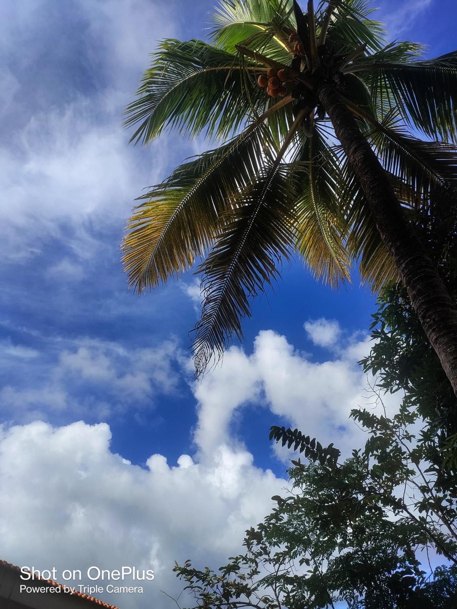 Hilton Garden Homestay Port Blair Kültér fotó