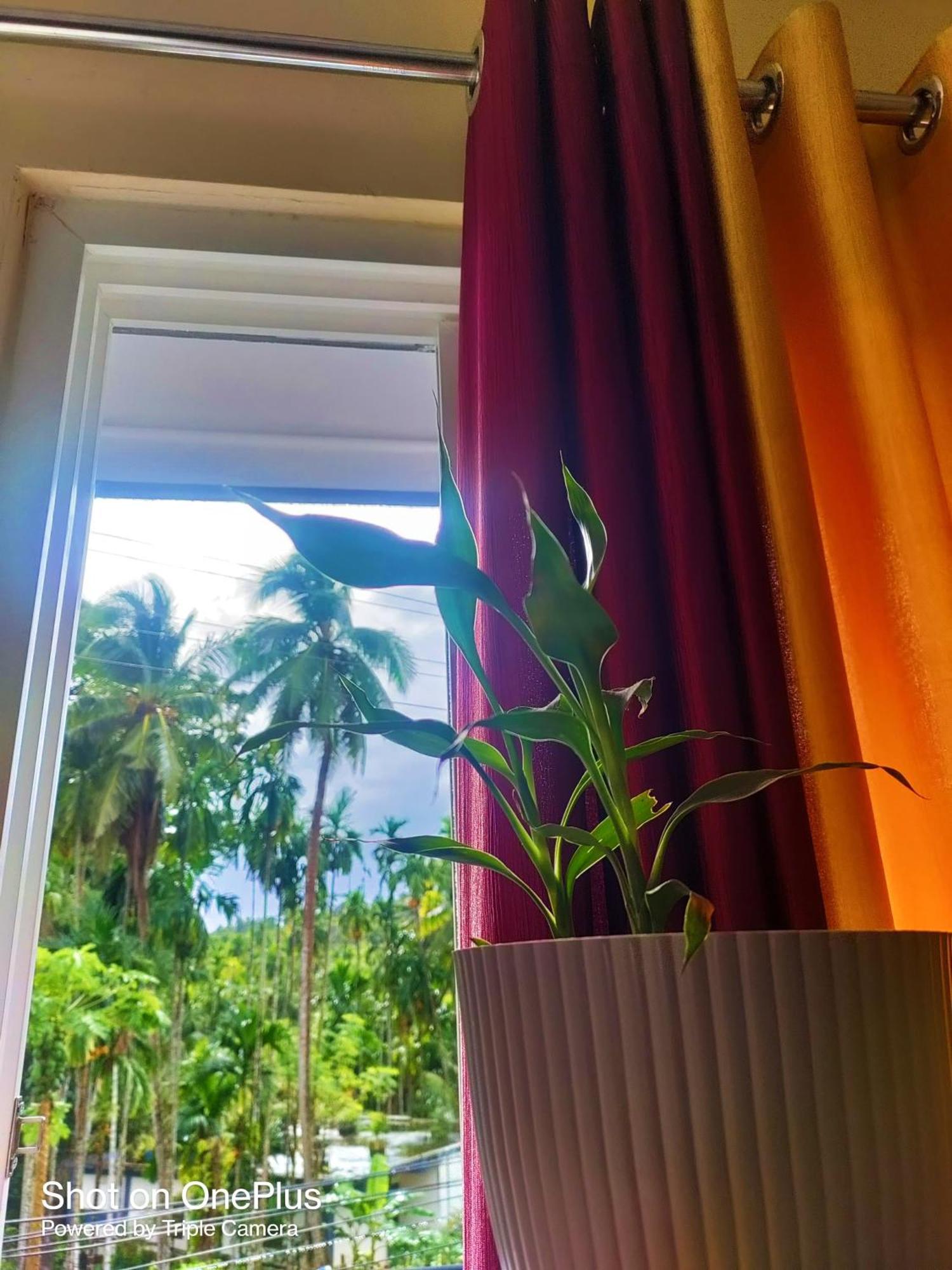 Hilton Garden Homestay Port Blair Kültér fotó